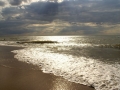 DSC05742.jpg