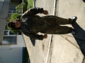 DSC04967.jpg