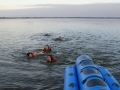 DSC05708.jpg