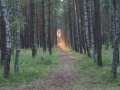 DSC05122.jpg